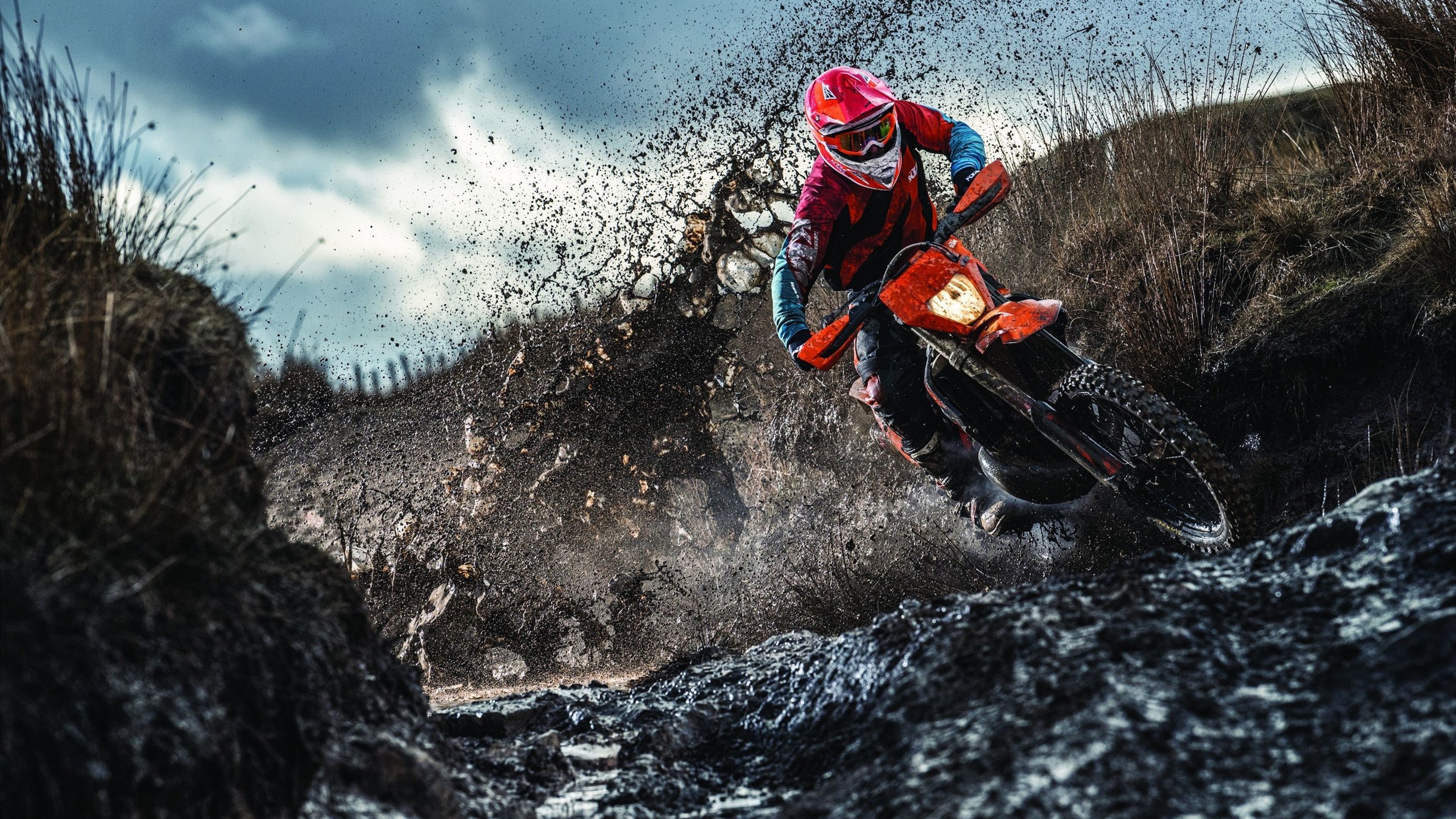 乡村马术耐力跑 骑手与马儿共同征服林道与溪谷