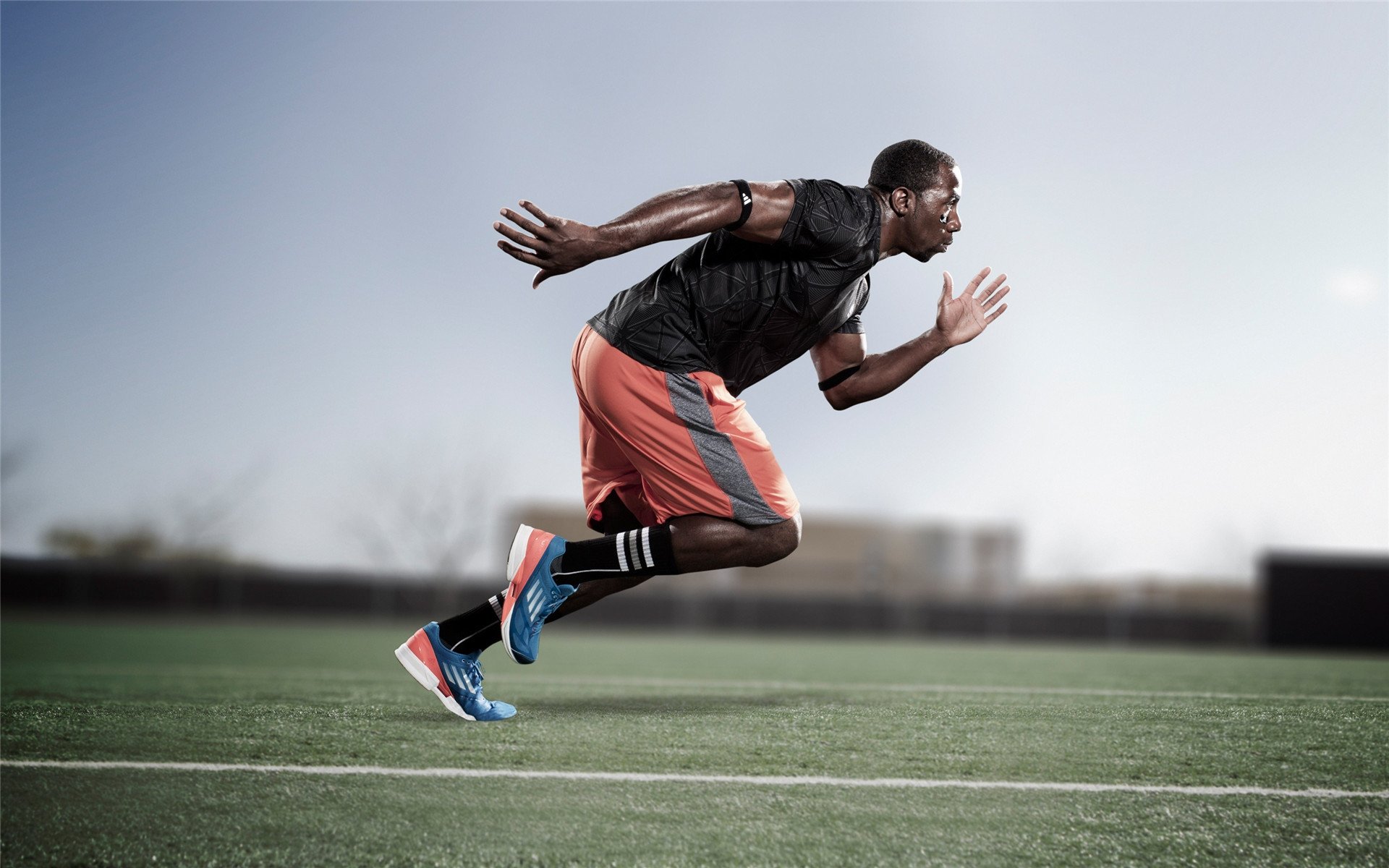 体育赛事观众消费行为