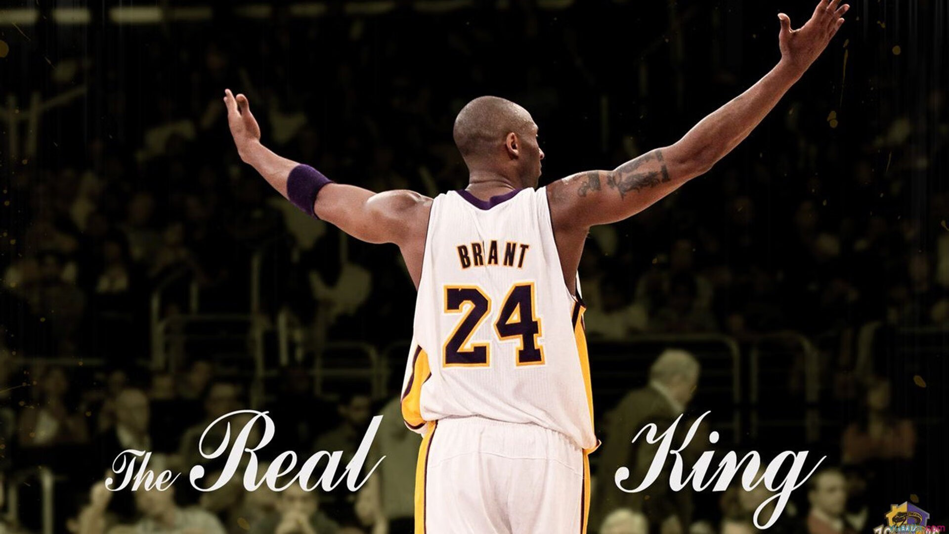 残疾人乒乓球世锦赛 中国队包揽团体及多枚单打金牌